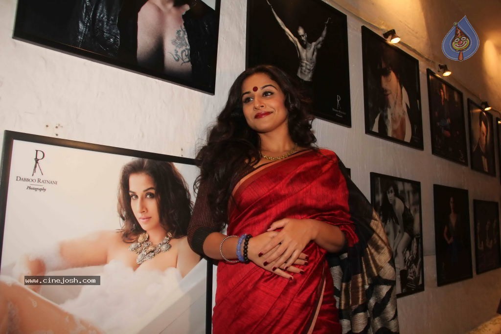 Dabboo Ratnani Calendar 2012 Launch - 103 / 150 photos