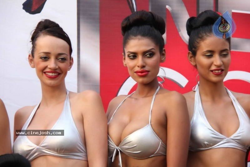 Deepika n Siddharth with Kingfisher Calendar Babes - 44 / 60 photos
