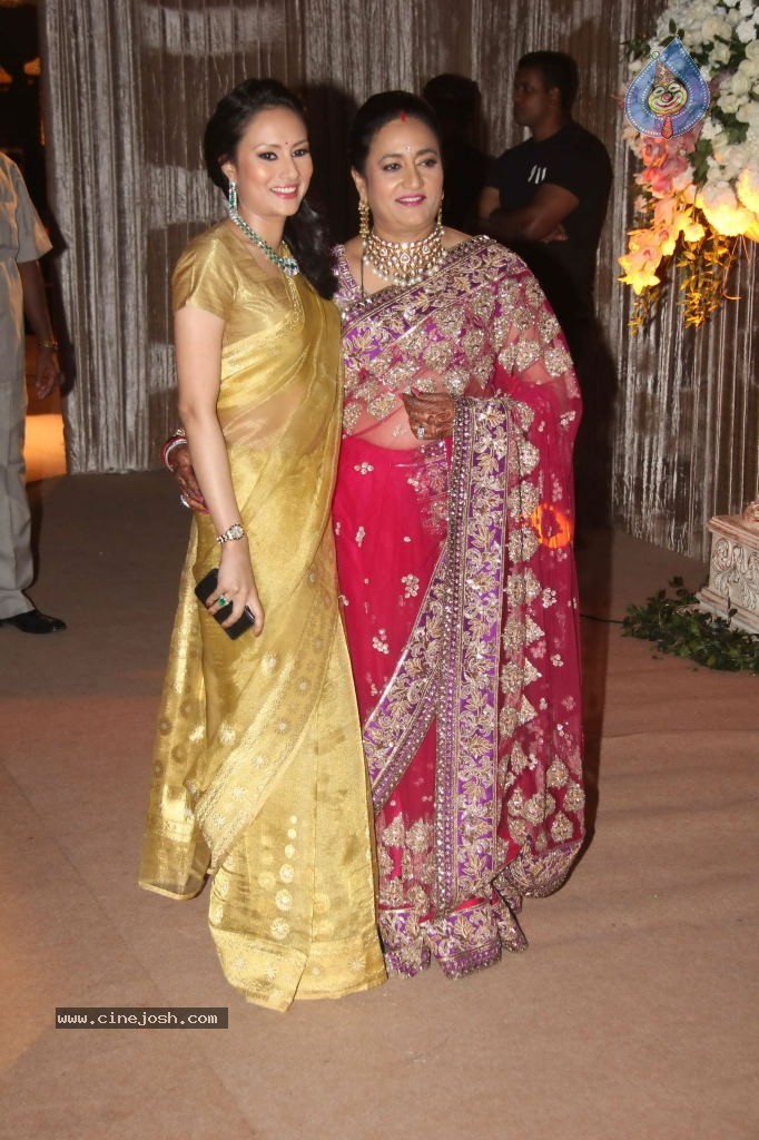 Deepshikha and Dheeraj Deshmukh Reception - 11 / 69 photos