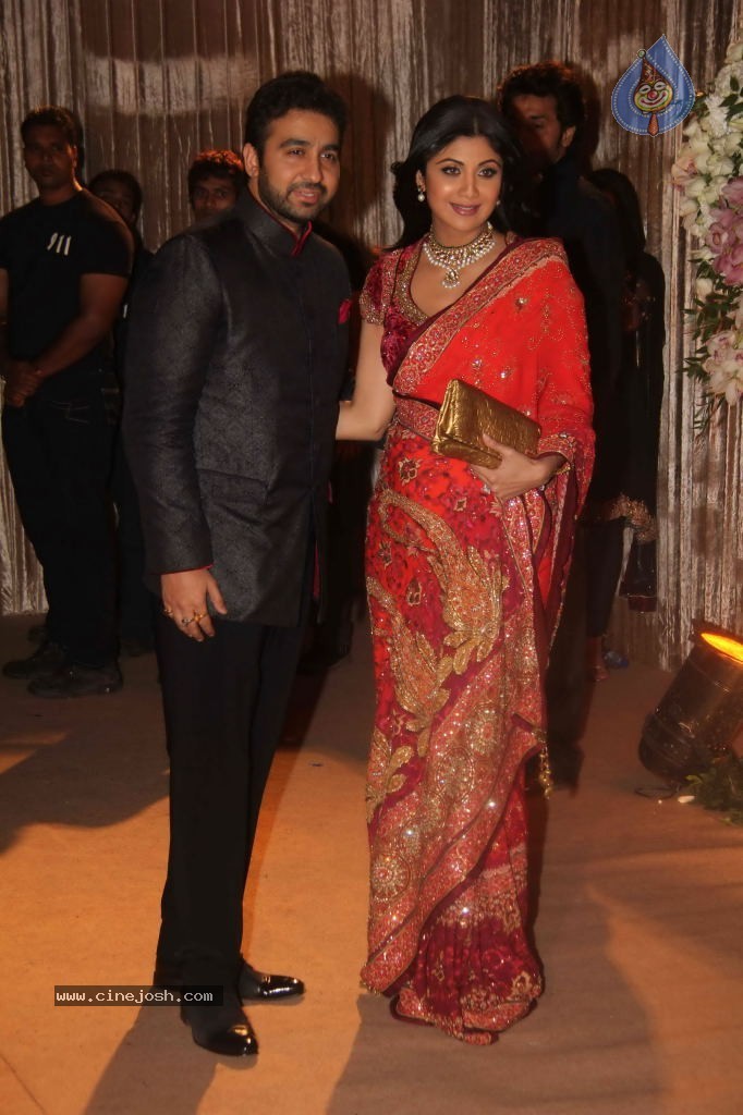 Deepshikha and Dheeraj Deshmukh Reception - 14 / 69 photos