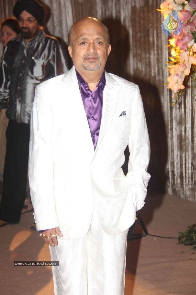 Deepshikha and Dheeraj Deshmukh Reception - 21 / 69 photos