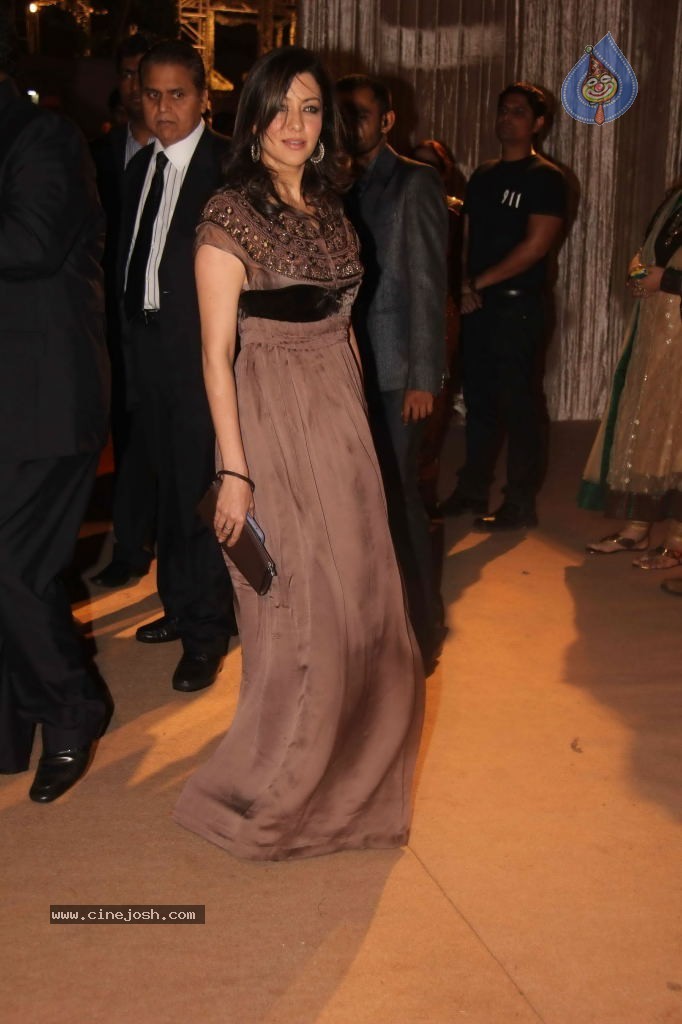 Deepshikha and Dheeraj Deshmukh Reception - 24 / 69 photos