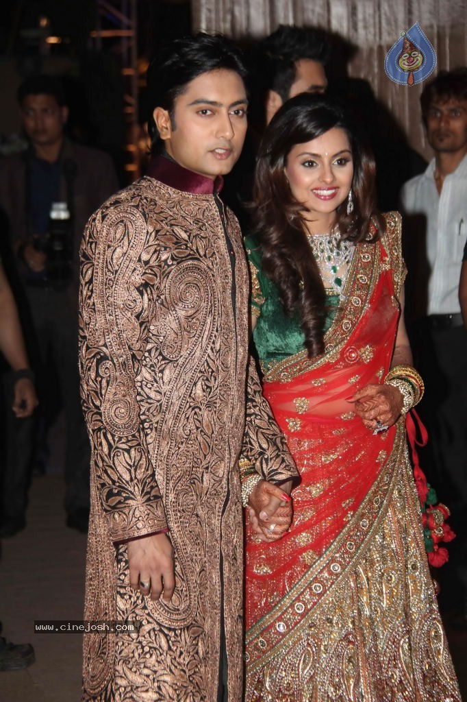 Deepshikha and Dheeraj Deshmukh Reception - 38 / 69 photos