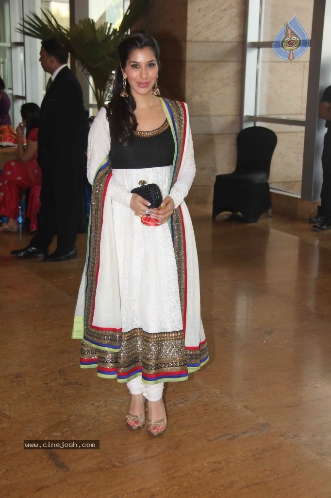Deepshikha and Dheeraj Deshmukh Wedding Ceremony - 10 / 59 photos
