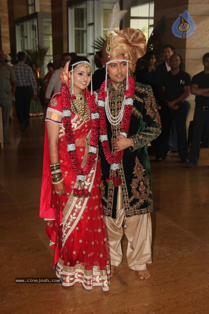 Deepshikha and Dheeraj Deshmukh Wedding Ceremony - 12 / 59 photos