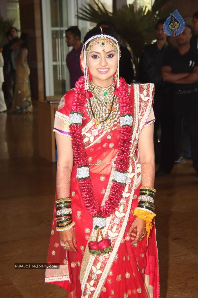 Deepshikha and Dheeraj Deshmukh Wedding Ceremony - 26 / 59 photos
