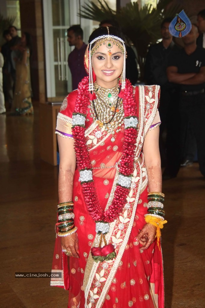 Deepshikha and Dheeraj Deshmukh Wedding Ceremony - 34 / 59 photos