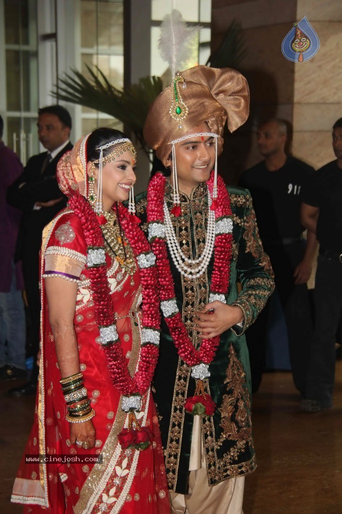 Deepshikha and Dheeraj Deshmukh Wedding Ceremony - 54 / 59 photos