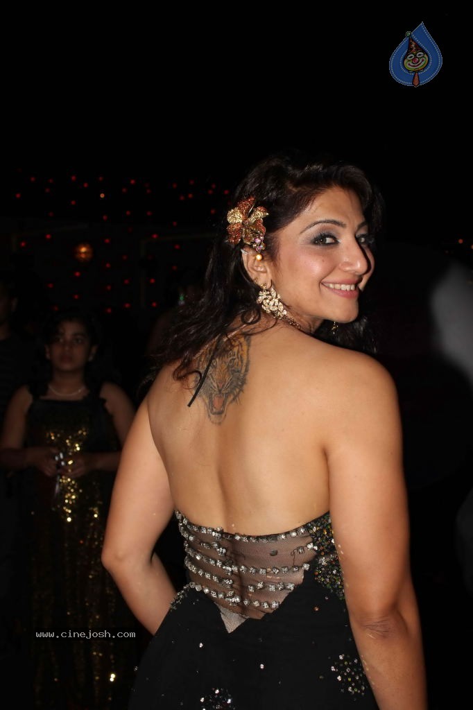 Deepshikha Nagpal Sangeet Ceremony - 17 / 37 photos