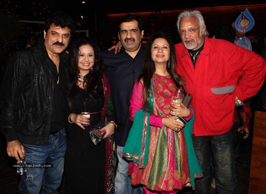 Deepshikha Nagpal Sangeet Ceremony - 30 / 37 photos