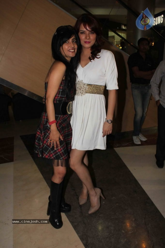 Diary of a Butterfly Movie First Look Launch - 1 / 29 photos