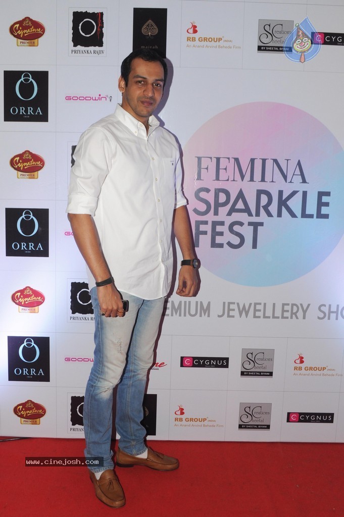 Femina Sparkle Fest 2014 Fashion Show - 32 / 40 photos