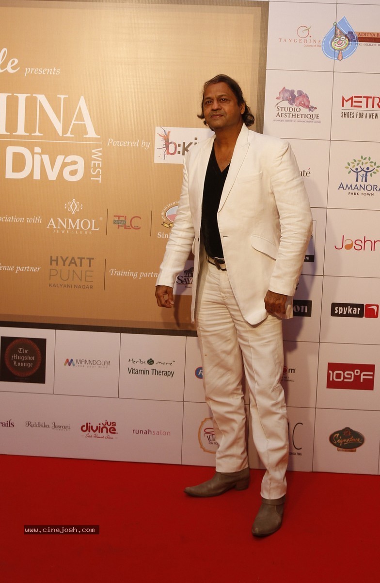 Femina Style Diva 2014 Curtain Raiser Event - 22 / 37 photos