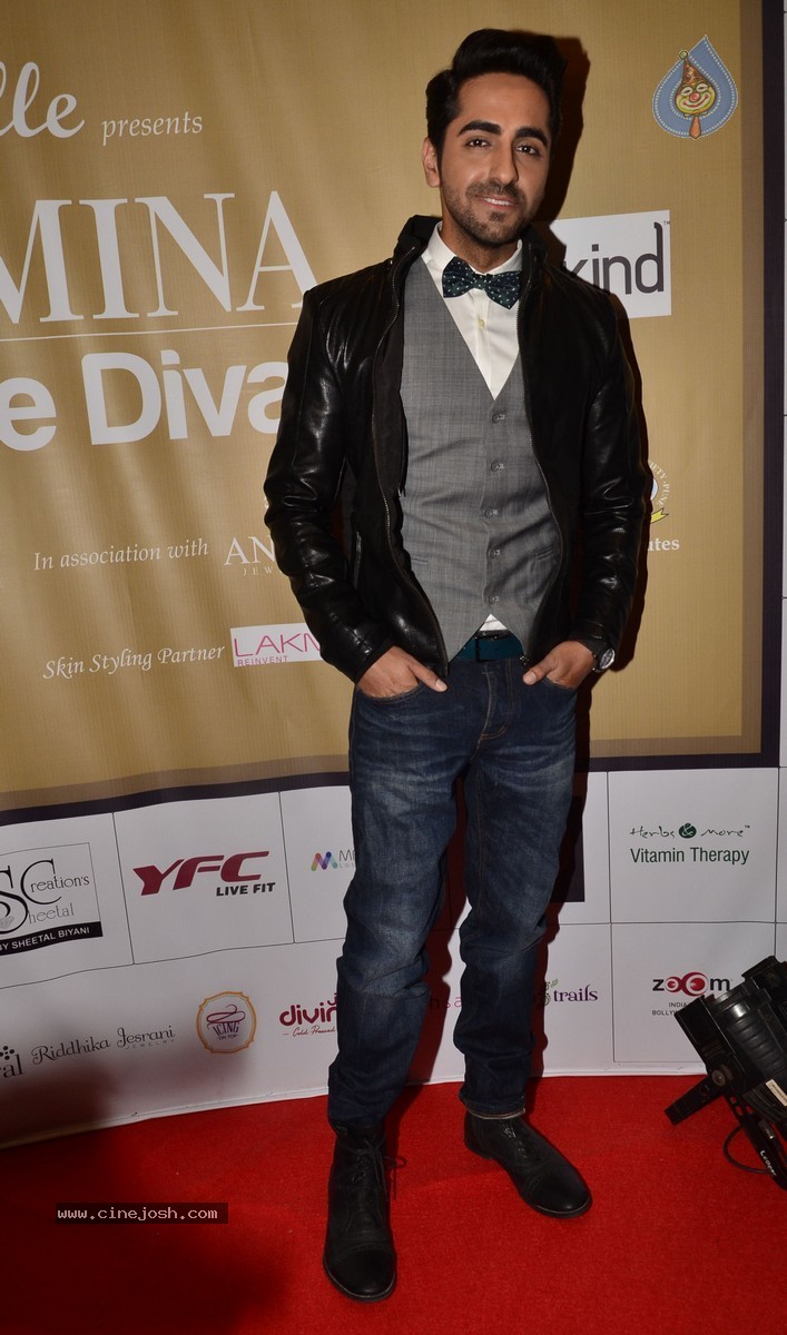 Femina Style Diva 2014 Finals Photos - 16 / 24 photos