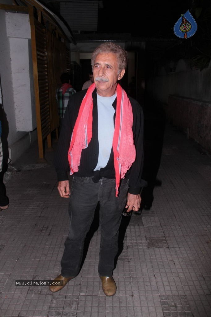 Gangs of Wasseypur Special Show - 26 / 33 photos