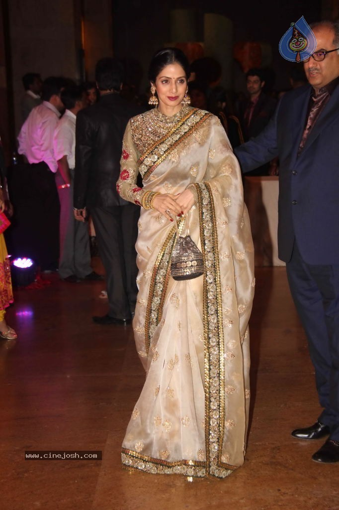 Genelia n Ritesh Reception Photos - 01 - 43 / 148 photos