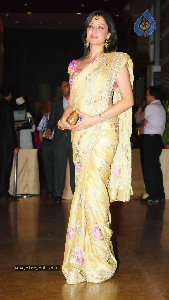 Genelia n Ritesh Reception Photos - 01 - 94 / 148 photos
