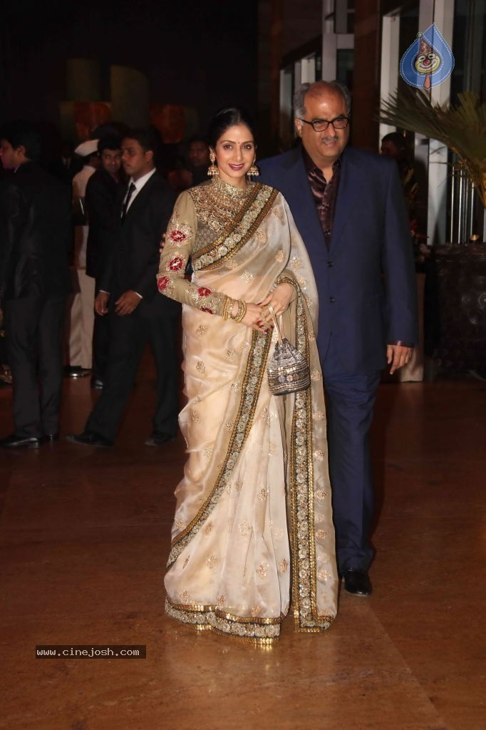 Genelia n Ritesh Reception Photos - 01 - 134 / 148 photos