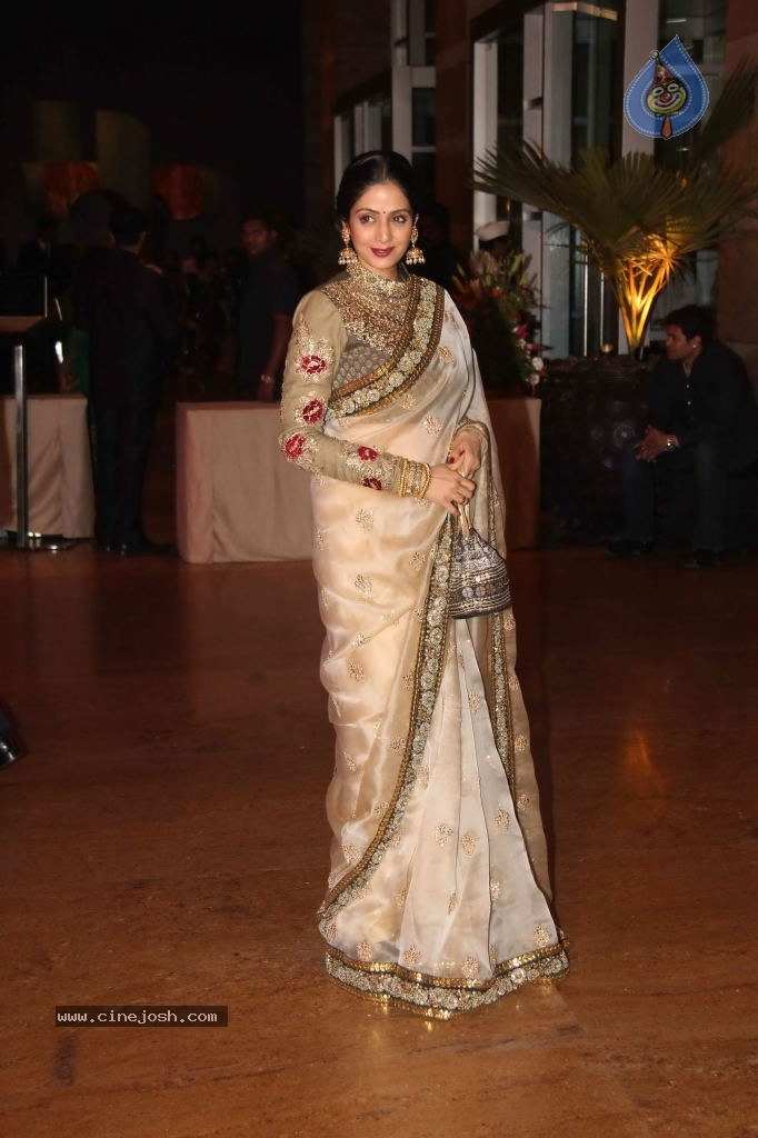 Genelia n Ritesh Reception Photos - 01 - 135 / 148 photos