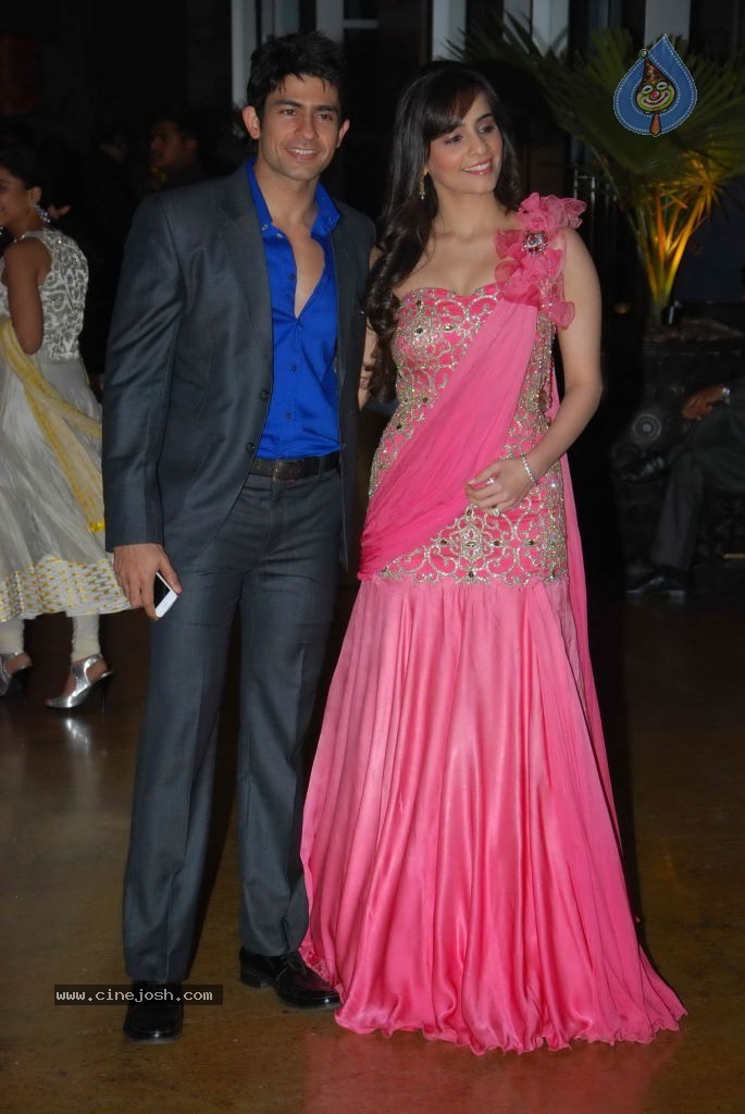 Genelia n Ritesh Reception Photos - 01 - 140 / 148 photos