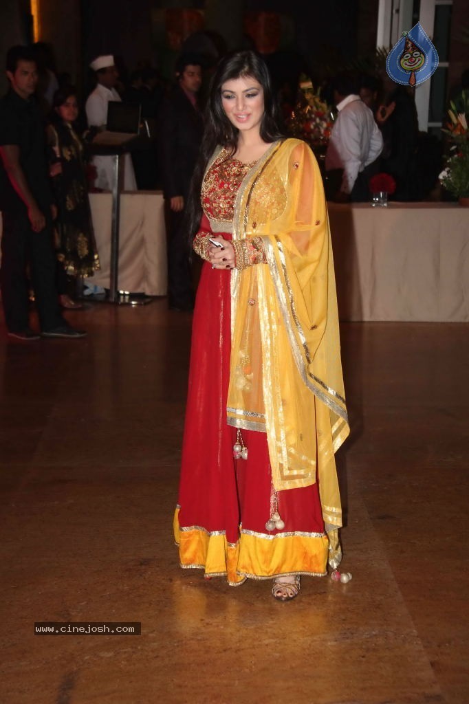 Genelia n Ritesh Reception Photos - 02 - 98 / 144 photos