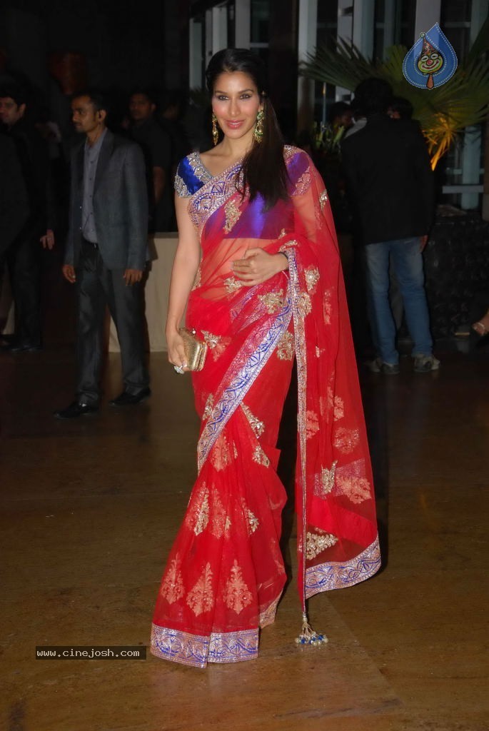 Genelia n Ritesh Reception Photos - 02 - 102 / 144 photos