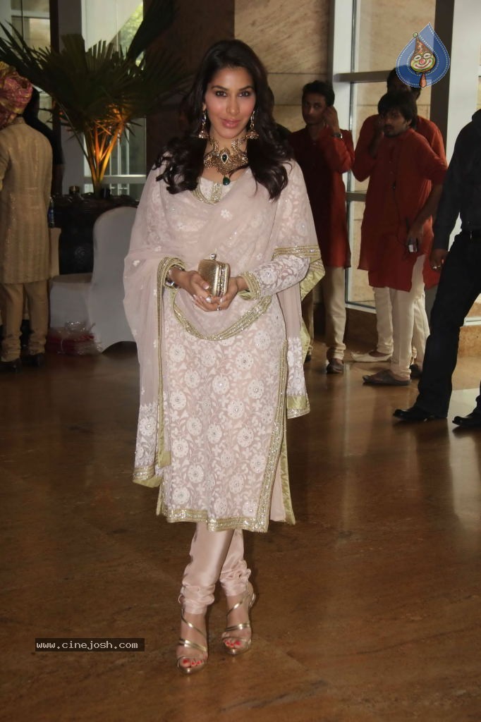 Genelia n Ritesh Wedding Photos - 131 / 176 photos