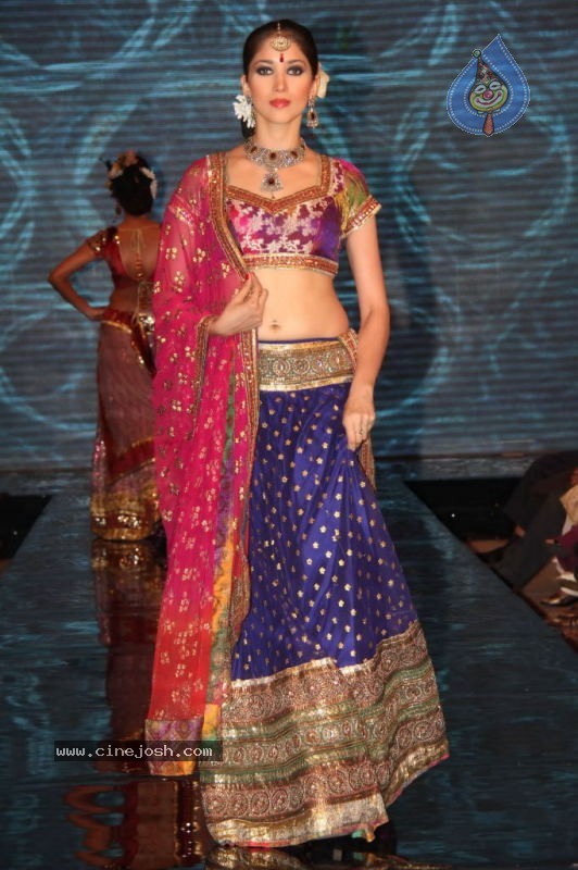 Gitanjali Tour De India Fashion Show - 2 / 94 photos