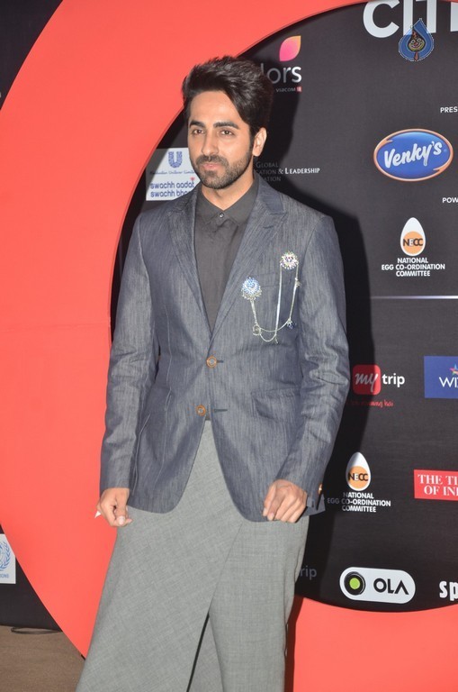 Global Citizen Festival India 2016 Event - 13 / 42 photos