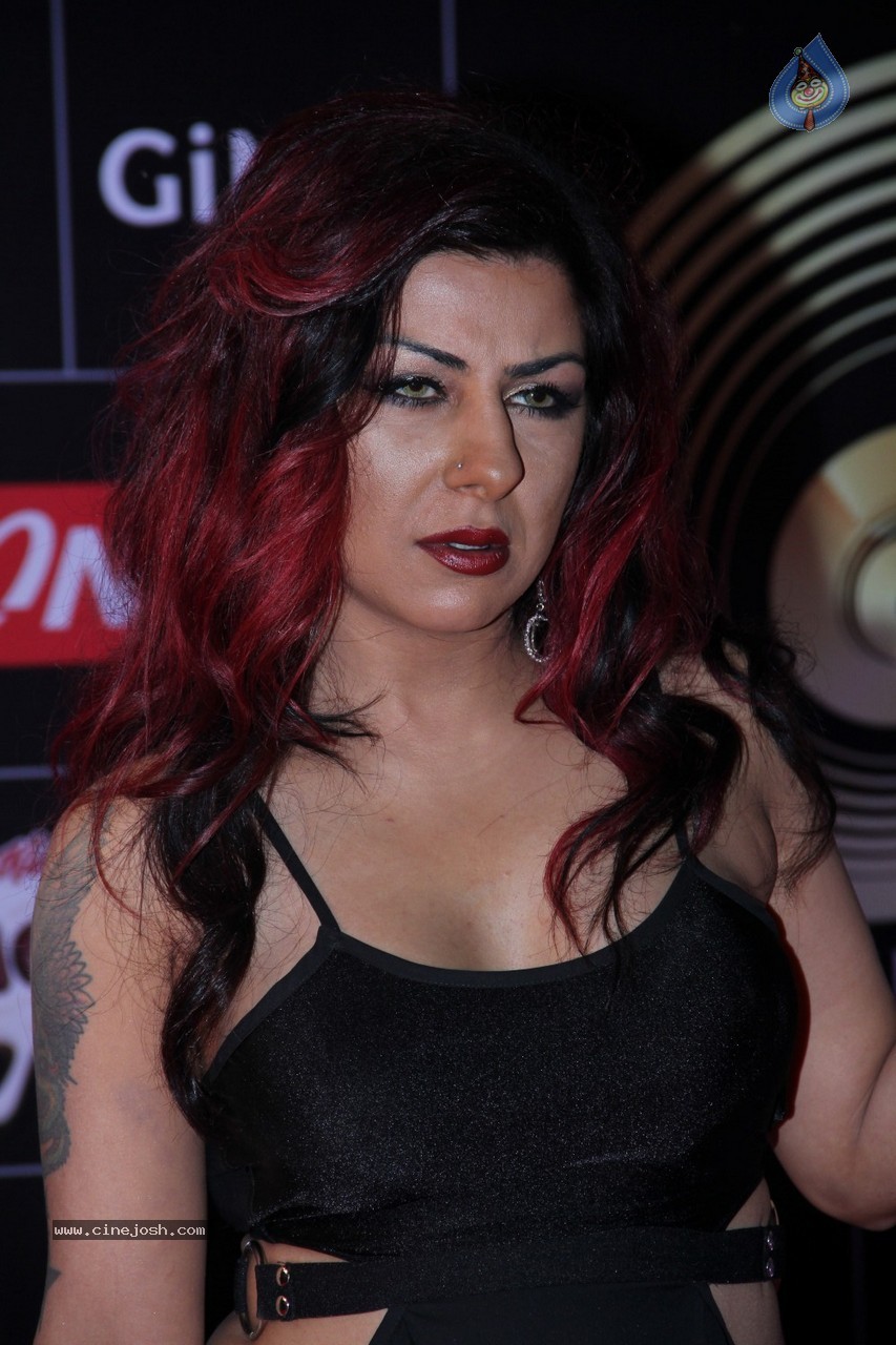 Global Indian Music Awards 2015 Red Carpet - 26 / 53 photos