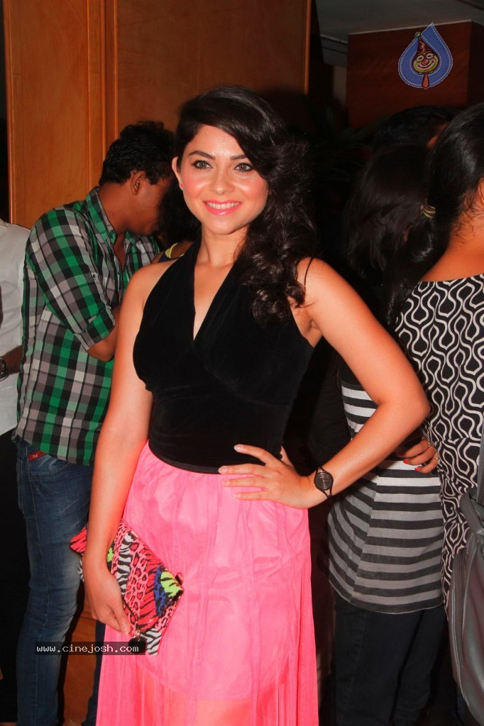 Grand Masti Success Party - 1 / 53 photos