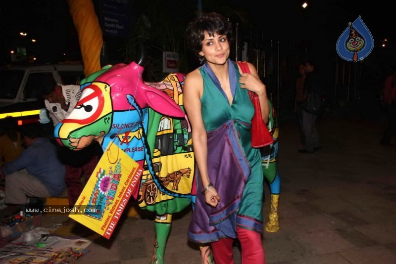 Gul Panag at Art for Dignity Preview - 11 / 23 photos