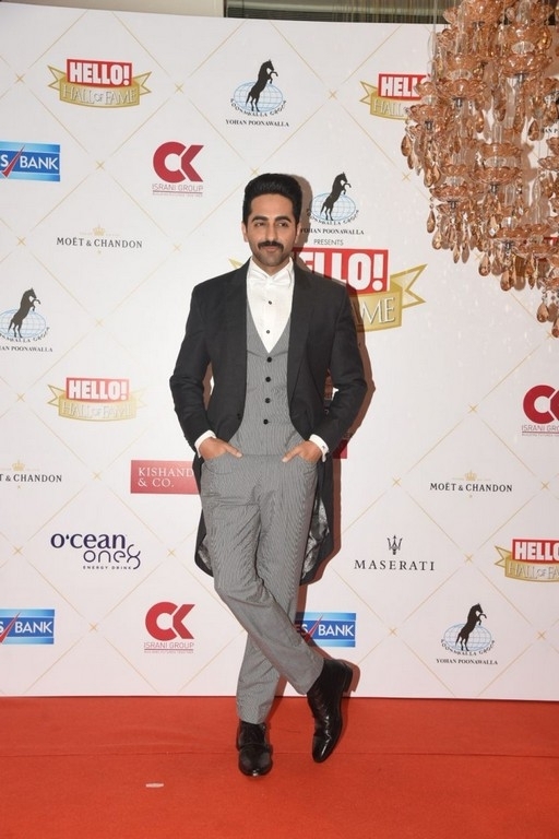 Hello Hall of Fame Awards 2019 Photo 7 of 30
