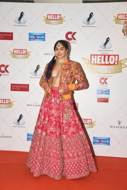 Hello Hall of Fame Awards 2019 Photo 12 of 30