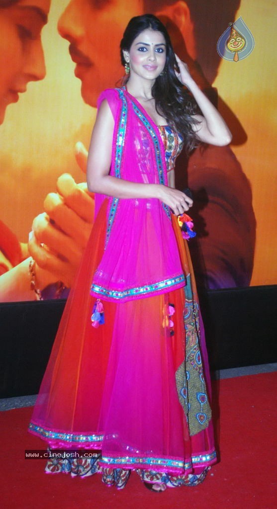 Hot Bolly Celebs at Mausam Premiere - 32 / 112 photos