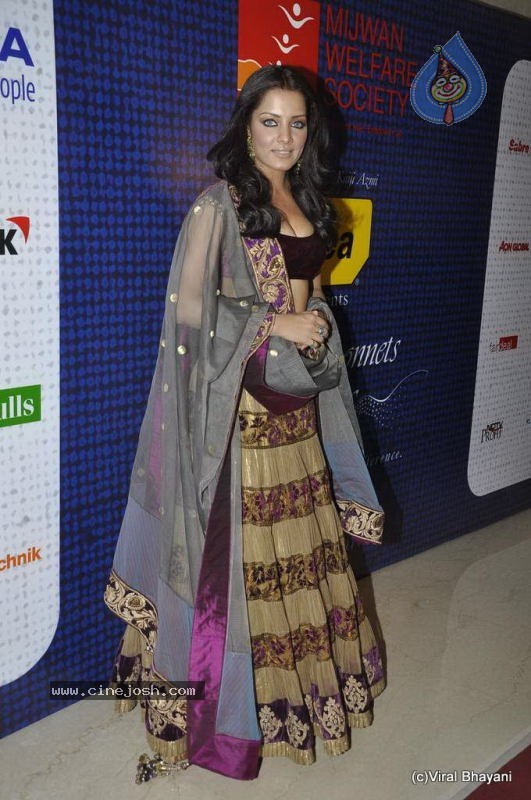 Hot Bolly Celebs at Mijwan Show - 131 / 152 photos
