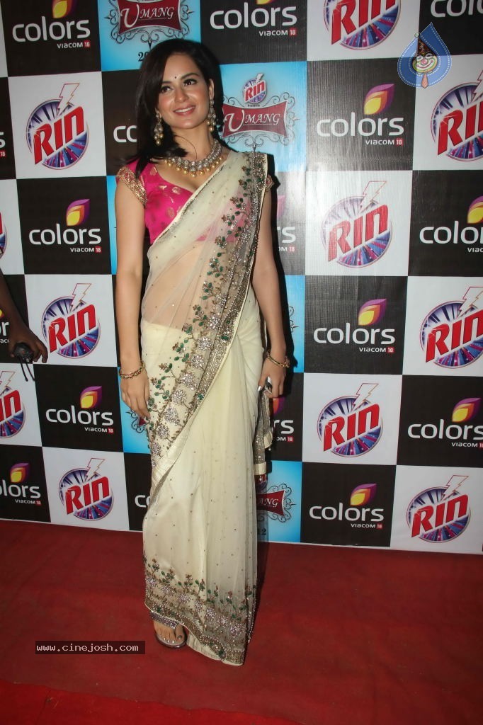 Hot Bolly Celebs at Umang 2012 - 52 / 149 photos