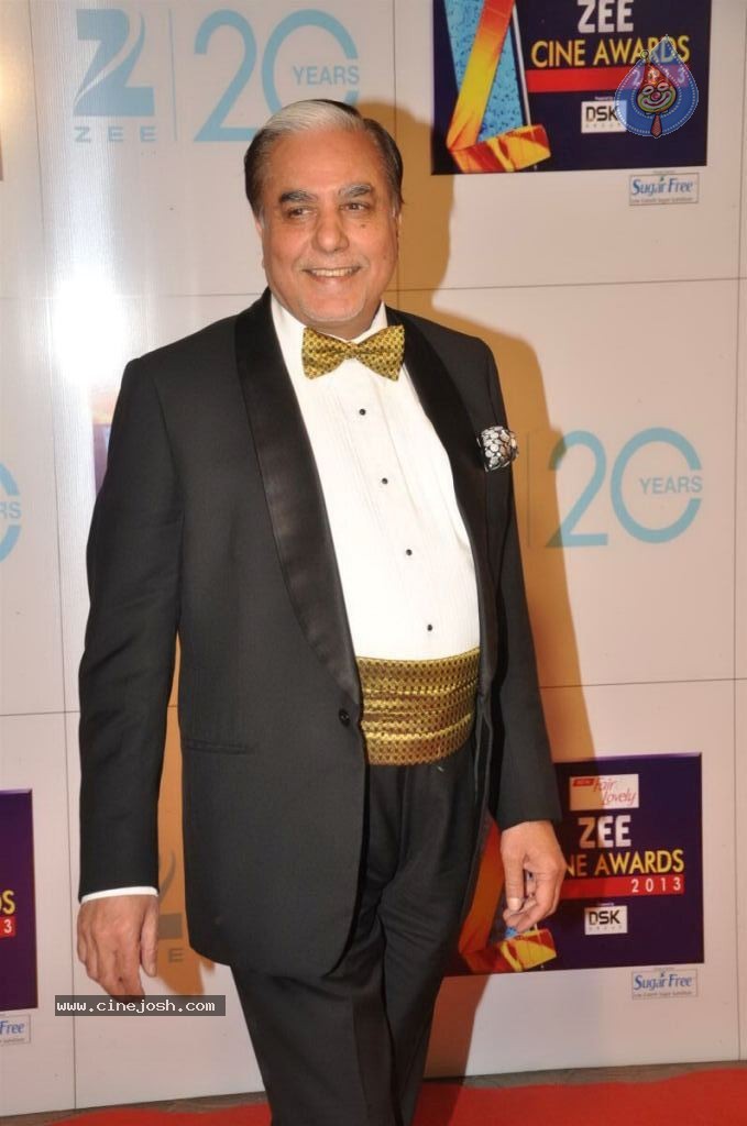 Hot Bolly Celebs at ZEE CINE AWARDS 2013 - 23 / 88 photos