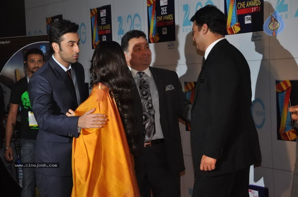 Hot Bolly Celebs at ZEE CINE AWARDS 2013 - 69 / 88 photos