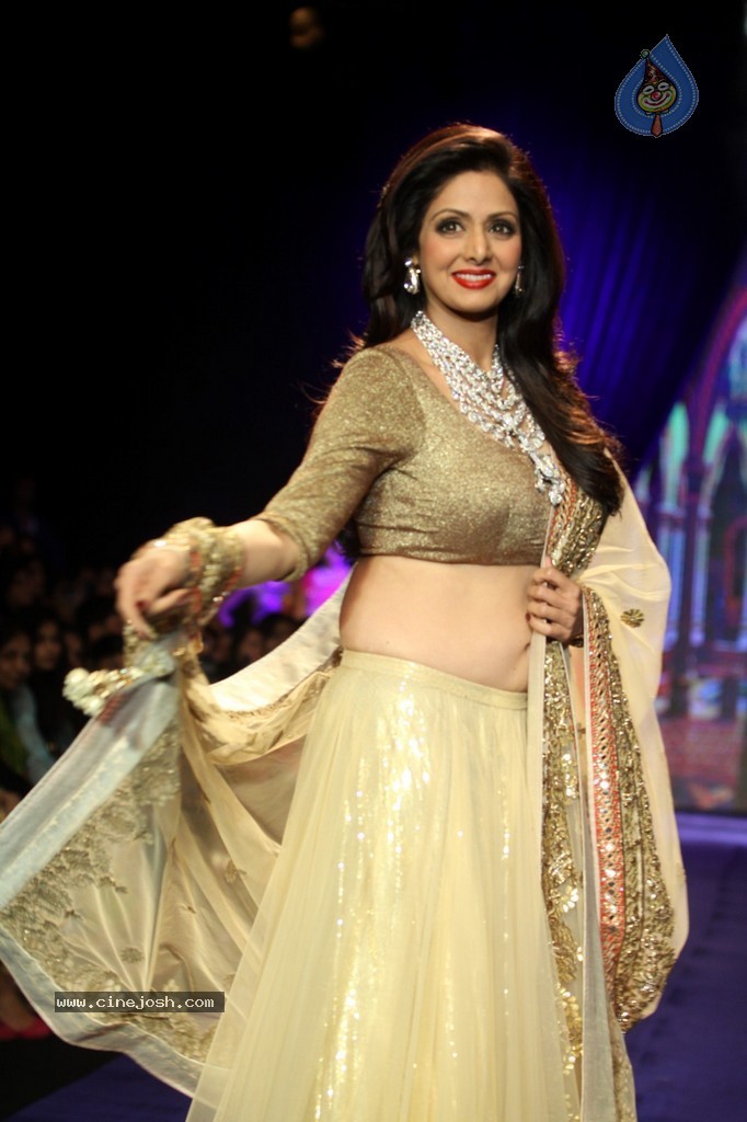 Bolly Celebs Walks the Ramp at IIJW 2014 - 4 / 152 photos