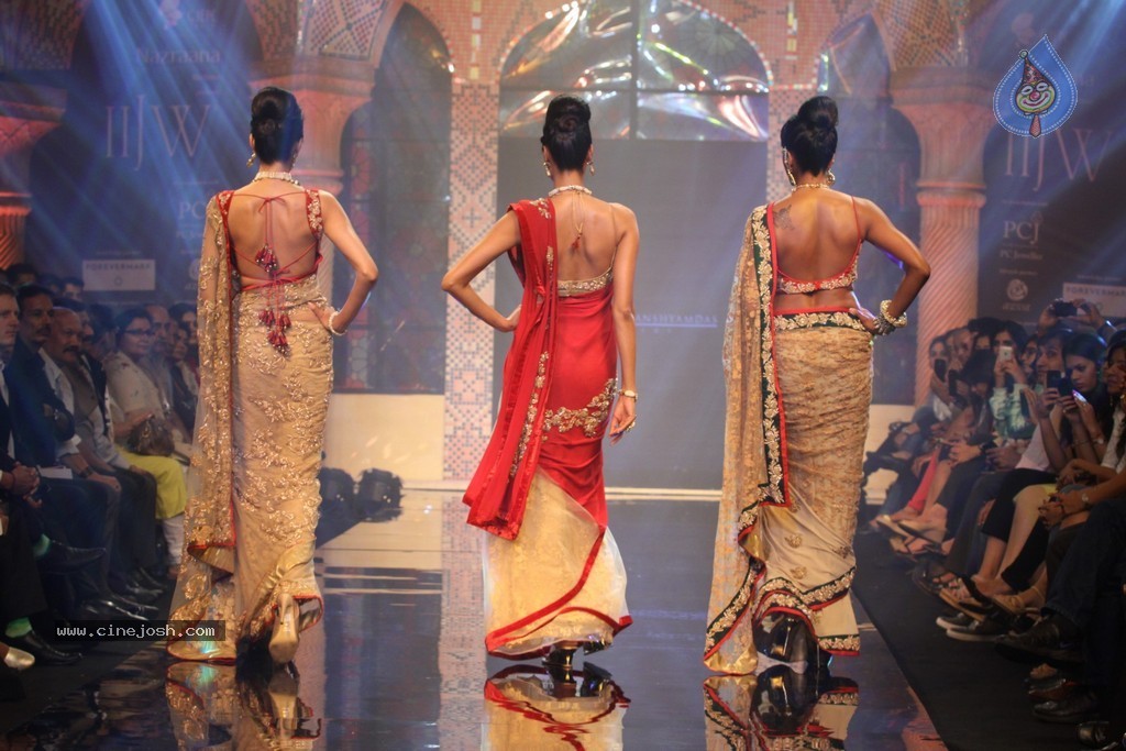 Bolly Celebs Walks the Ramp at IIJW 2014 - 30 / 152 photos