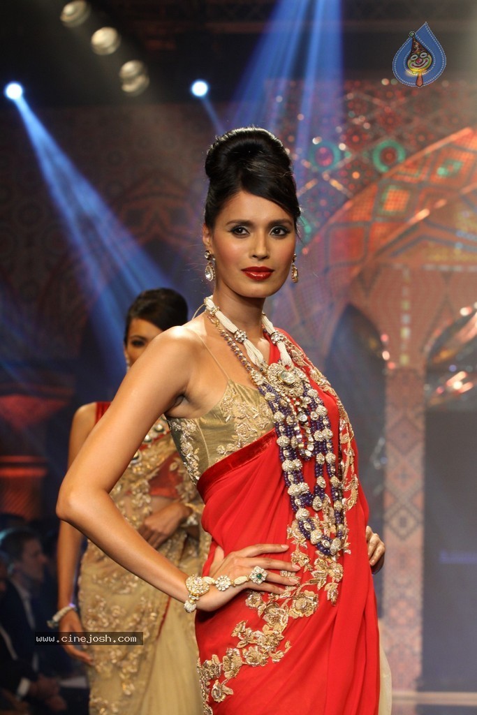 Bolly Celebs Walks the Ramp at IIJW 2014 - 40 / 152 photos