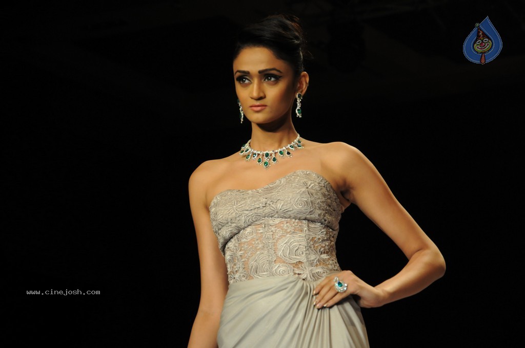 Bolly Celebs Walks the Ramp at IIJW 2014 - 68 / 152 photos