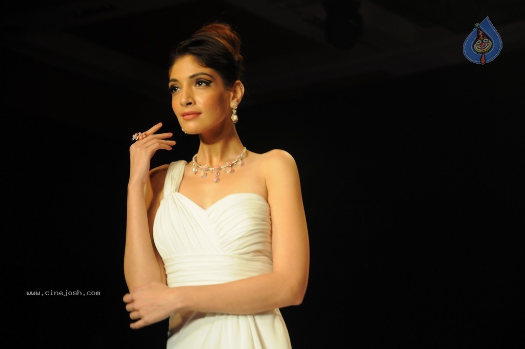 Bolly Celebs Walks the Ramp at IIJW 2014 - 69 / 152 photos