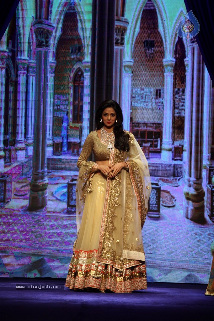Bolly Celebs Walks the Ramp at IIJW 2014 - 129 / 152 photos