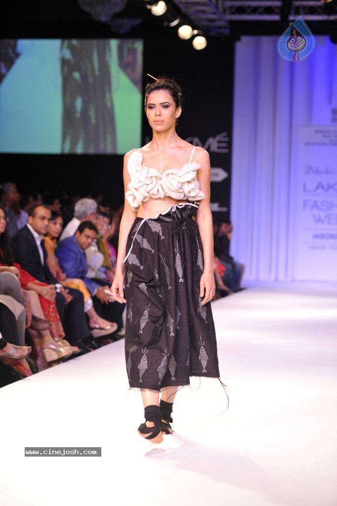 Hot Bolly Celebs Walks the Ramp at LFW 2014 - 28 / 187 photos