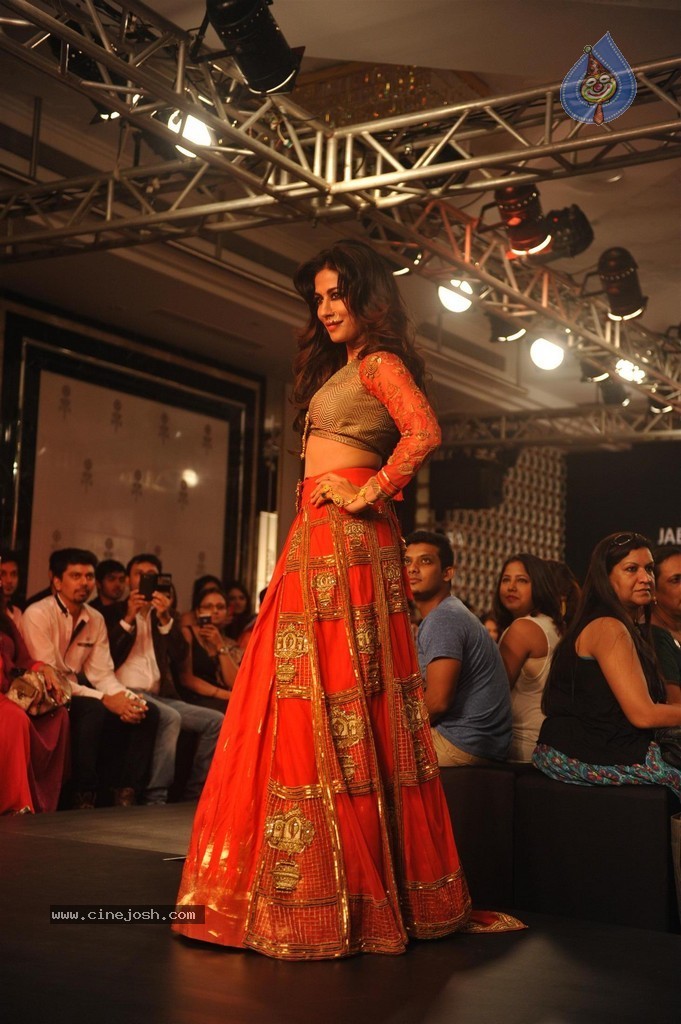 Hot Bolly Celebs Walks the Ramp at LFW 2014 - 74 / 187 photos