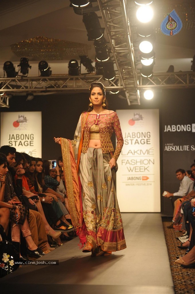 Hot Bolly Celebs Walks the Ramp at LFW 2014 - 115 / 187 photos