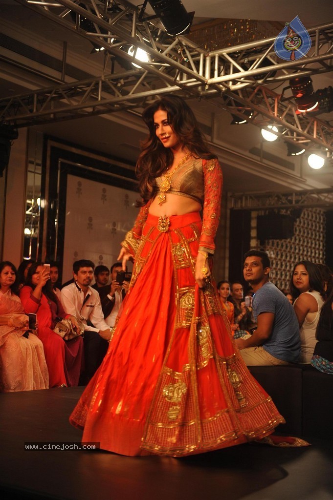 Hot Bolly Celebs Walks the Ramp at LFW 2014 - 151 / 187 photos