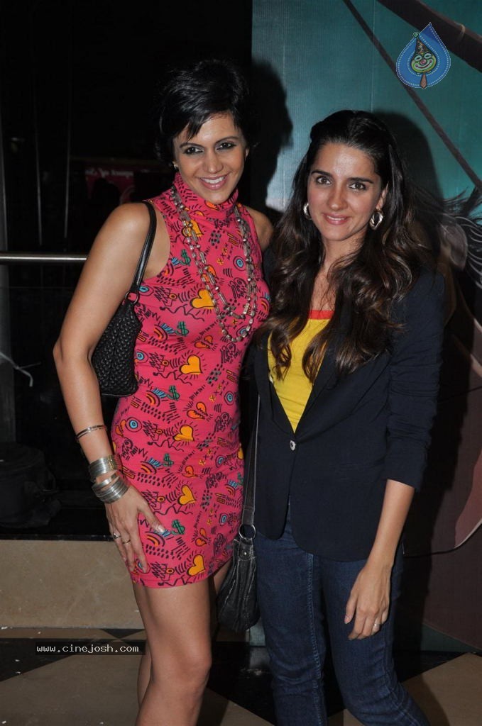 Hot Celebs at Arjun Movie Premiere - 3 / 36 photos